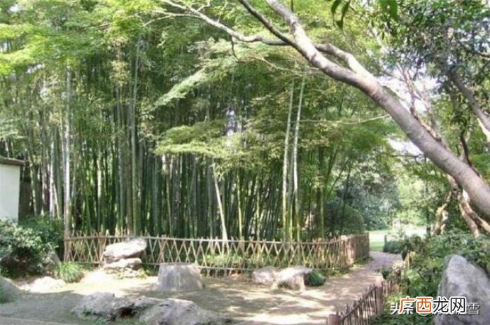还有这样来形容太阳的 形容太阳