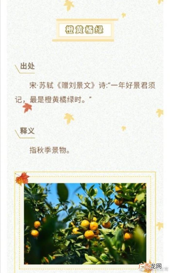8个关于秋天的成语你知道吗 赞美秋天的成语