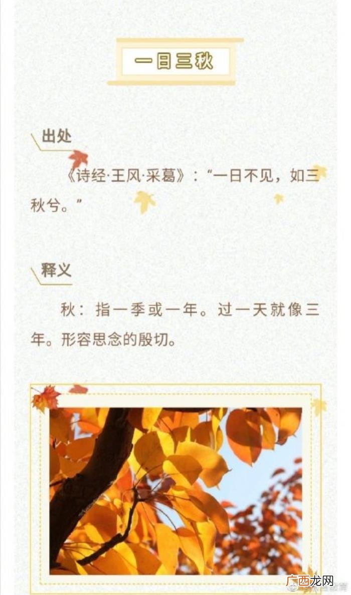 8个关于秋天的成语你知道吗 赞美秋天的成语