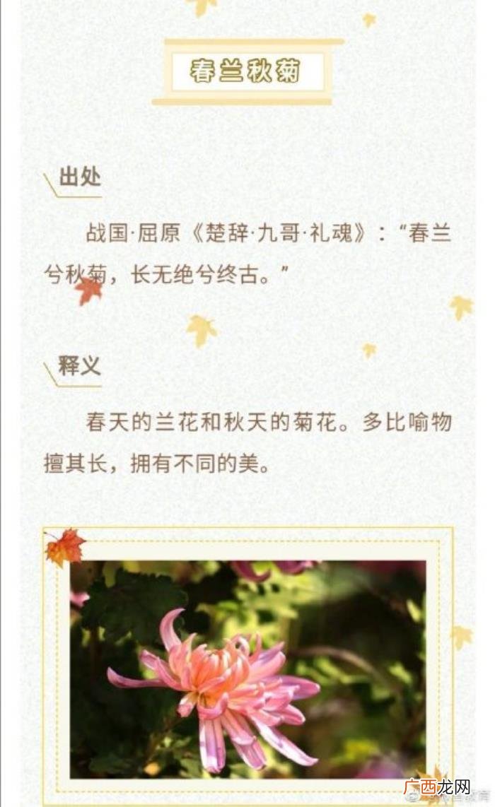 8个关于秋天的成语你知道吗 赞美秋天的成语