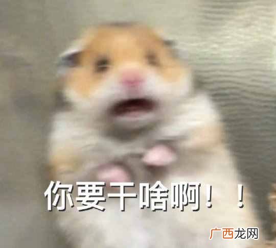 最赚钱游戏？2018最赚钱游戏！