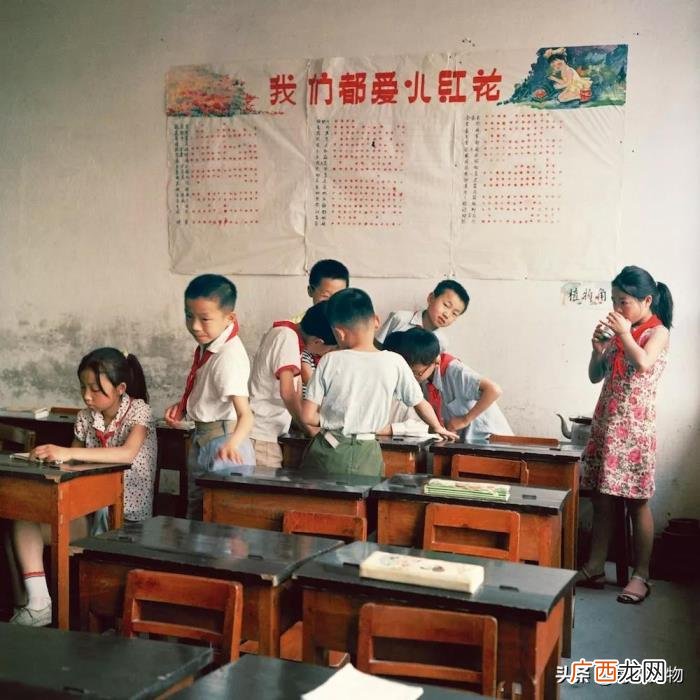 现在的孩子太可怜了 可怜的图片