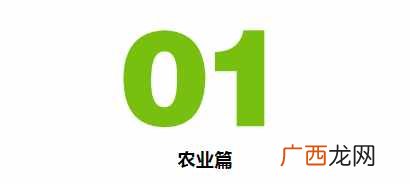 乡镇赚钱？在乡镇生活，到底能靠什么赚钱？