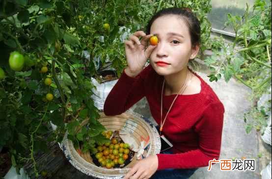 乡镇赚钱？在乡镇生活，到底能靠什么赚钱？