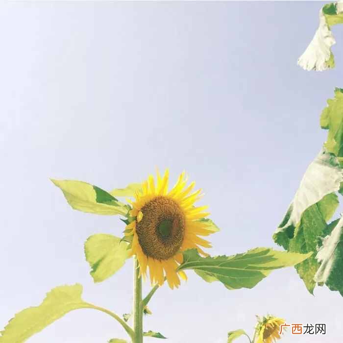 赚钱的句子？努力赚钱的说说