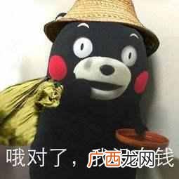 什么网站赚钱？逛逛这5个网站，狠赚几笔零花钱。