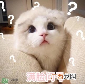 闭口是什么 闭口的形成原因和治疗方法