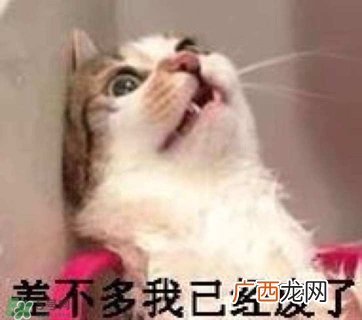 闭口是什么 闭口的形成原因和治疗方法