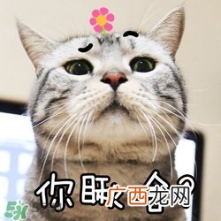 闭口是什么 闭口的形成原因和治疗方法