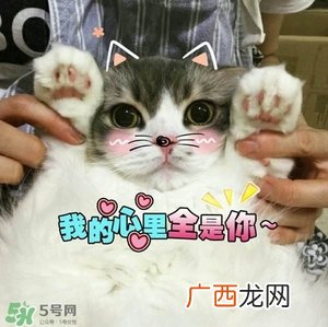 闭口是什么 闭口的形成原因和治疗方法