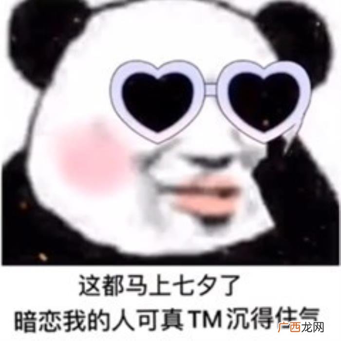 熊猫头七夕情人节系列表情包 情人节搞笑图