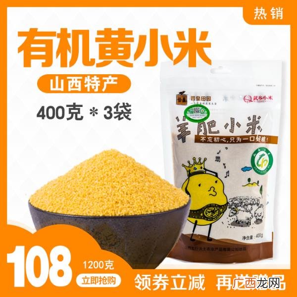 拜访领导带什么礼物好，现在过年送什么礼物给领导好