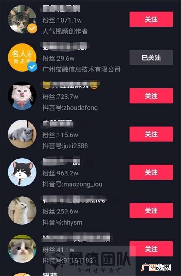 宠物赚钱？分享一些养赚钱的兼职项目