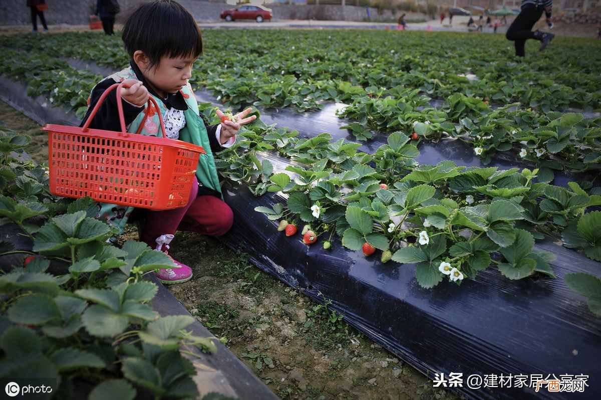 做什么比较赚钱？这3个最赚钱的行业，趁着现在干的人不多