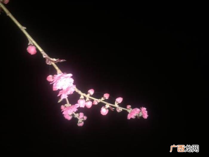 这3首写月色的古诗 形容月色很美的诗句