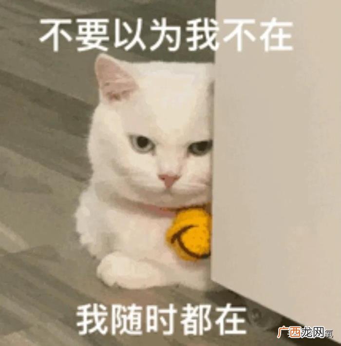辛芷蕾撞脸，倪妮新封面撞脸辛芷蕾