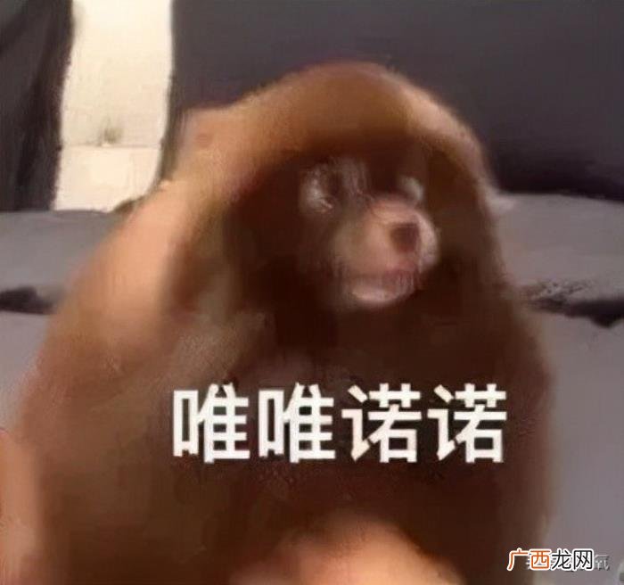 辛芷蕾撞脸，倪妮新封面撞脸辛芷蕾