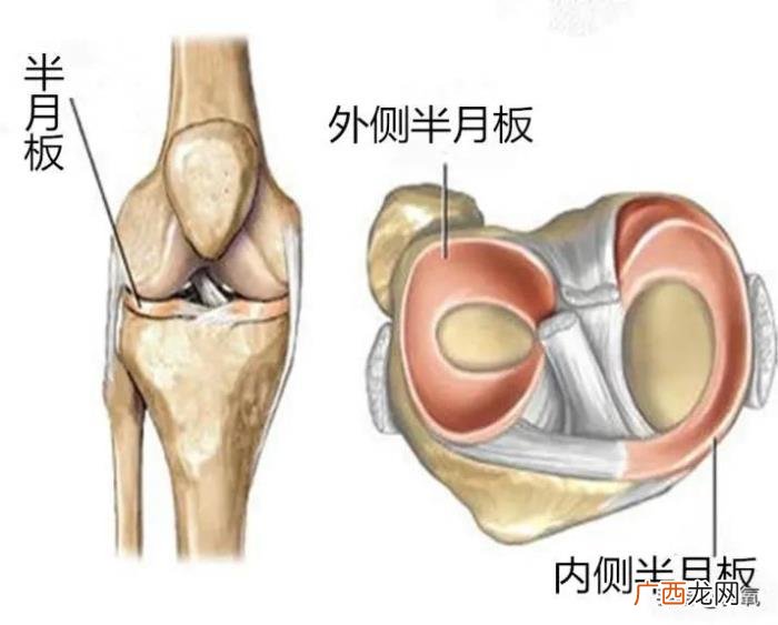 辛芷蕾撞脸，倪妮新封面撞脸辛芷蕾
