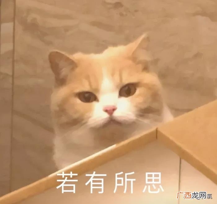 辛芷蕾撞脸，倪妮新封面撞脸辛芷蕾