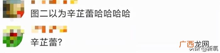 辛芷蕾撞脸，倪妮新封面撞脸辛芷蕾