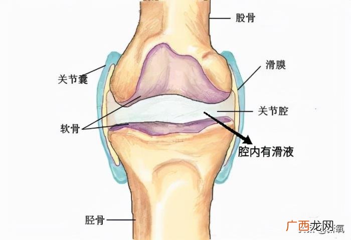辛芷蕾撞脸，倪妮新封面撞脸辛芷蕾
