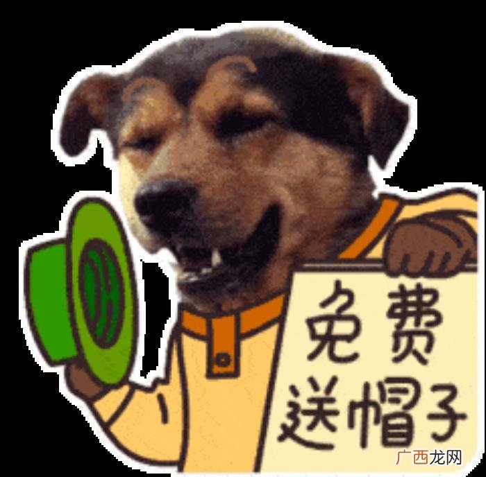 12月4送你八个笑话太绝了 超级笑话大全爆笑