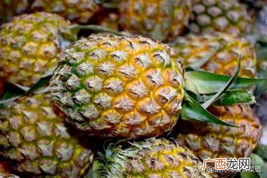 凤梨是菠萝吗？菠萝和凤梨是不是同一种水果？