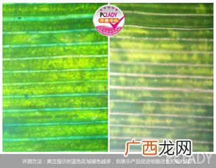 ysl按摩棒怎么用？ysl按摩棒使用方法