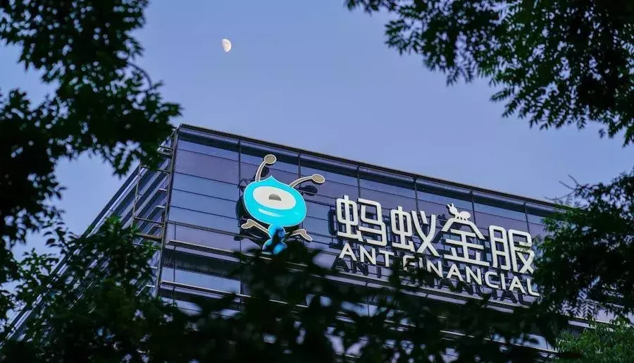 蚂蚁赚钱?揭秘蚂蚁金服
