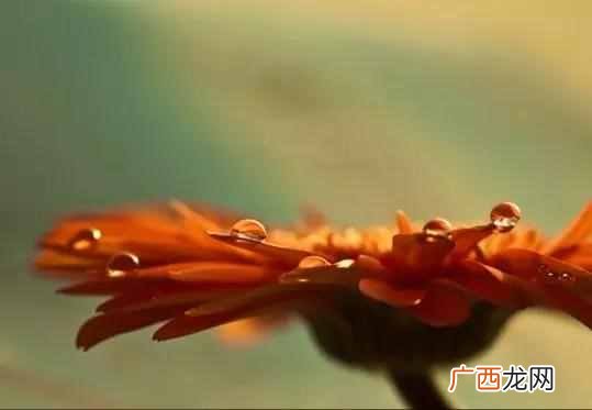 好好赚钱？好好赚钱，才是当下最要紧的事