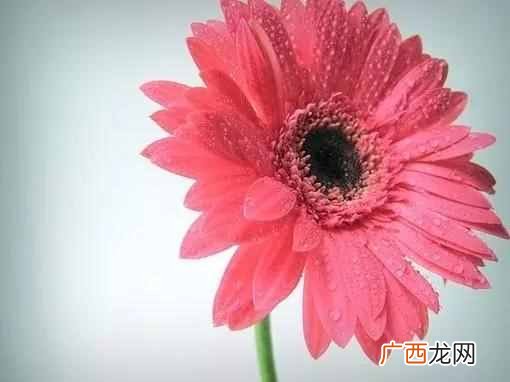 好好赚钱？好好赚钱，才是当下最要紧的事