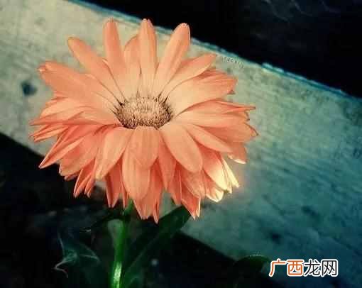 好好赚钱？好好赚钱，才是当下最要紧的事