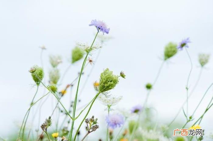 深刻走心的爱情短句 个签短句爱情