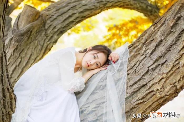 出轨后但是却不愿离婚的 女人出轨不想离婚表现