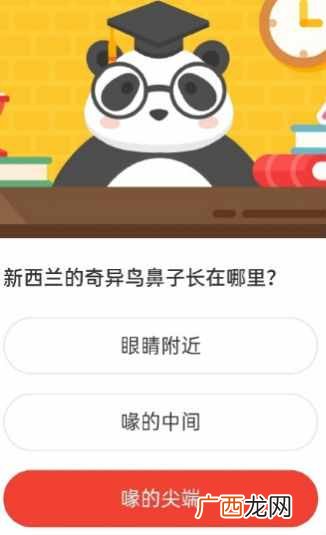新西兰的奇异鸟鼻子长在哪里 森林驿站今天9月6日答案