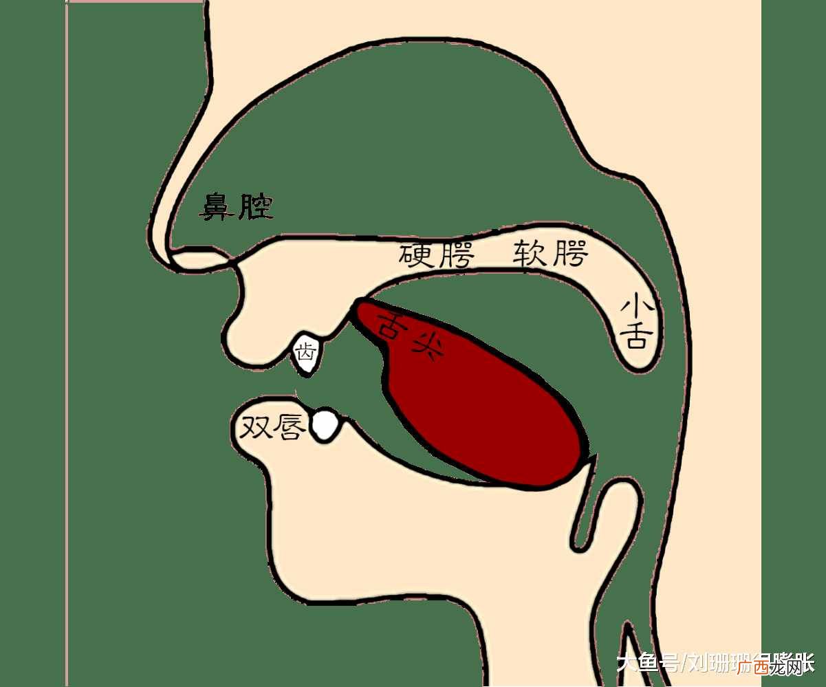 平翘舌不分怎么办？平翘舌不分怎么破？