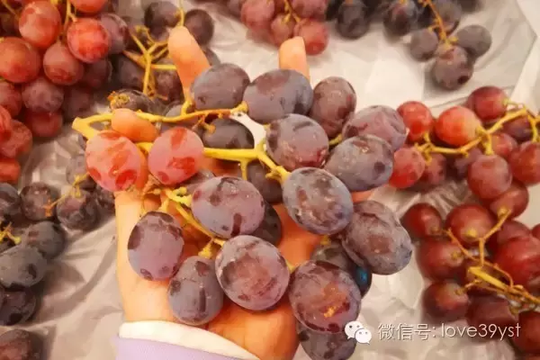吃葡萄有什么好处？没想到葡萄功效居然这么强大