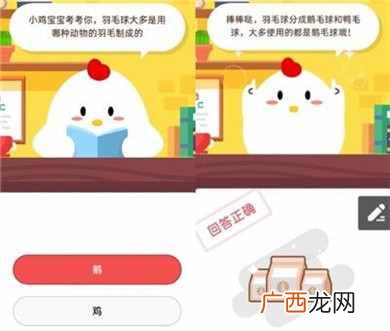 9月3日蚂蚁庄园答案 羽毛球大多是用哪种动物的羽毛制成的