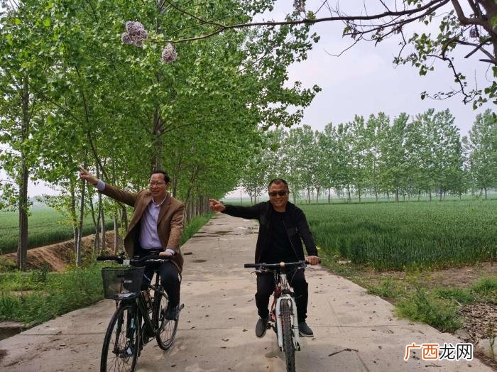 我要像风一样自由是什么歌，我像风一样自由