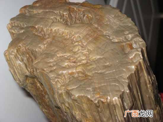 什么是化石？有什么价值？