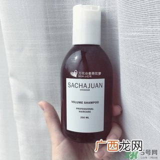 三茶官sachajuan洗发水多少钱_专柜价格
