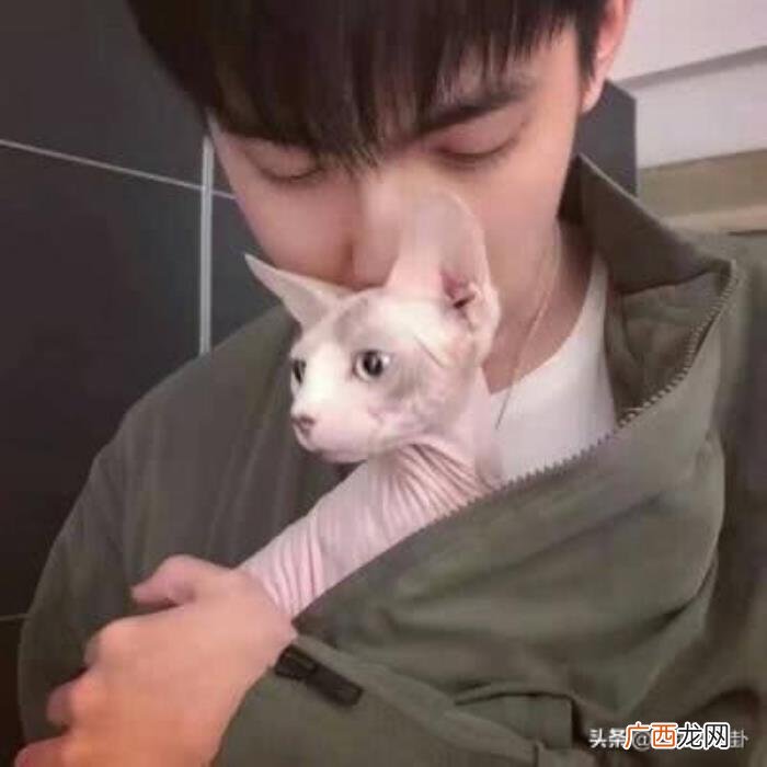 女生QQ备注男友老公早已过时 qq备注名字