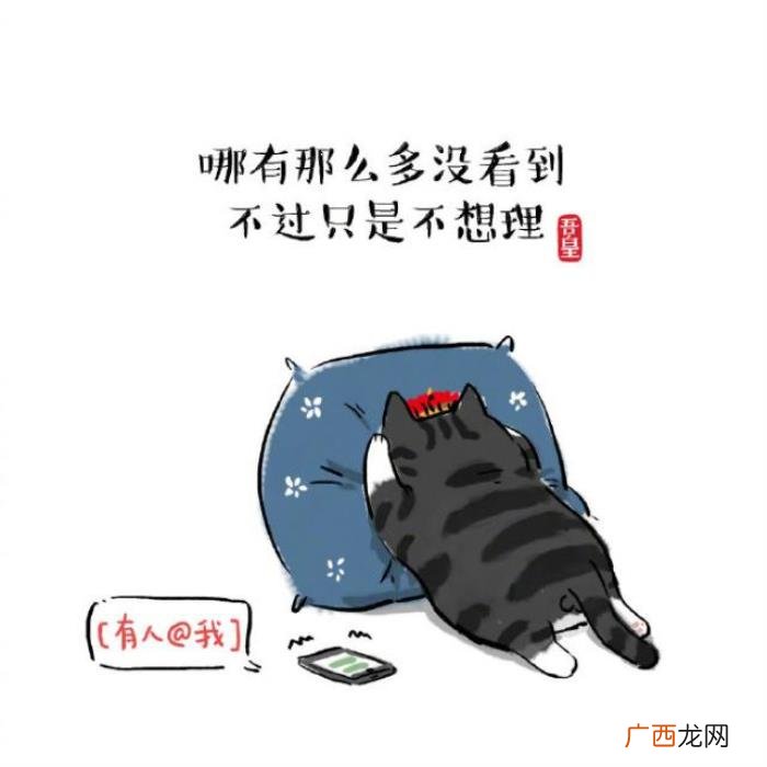 微博上让人哭笑不得的句子 微博笑话