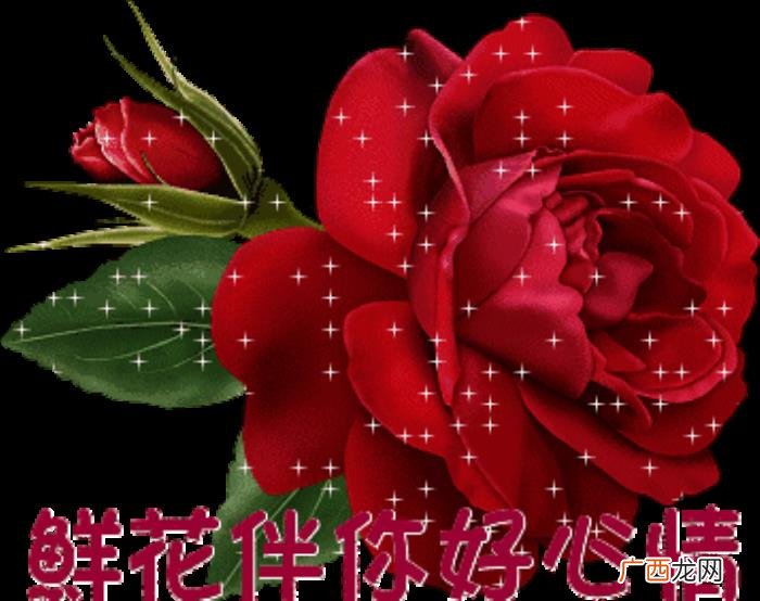 祝群里的好姐妹们天天快乐 姐妹生日祝福语