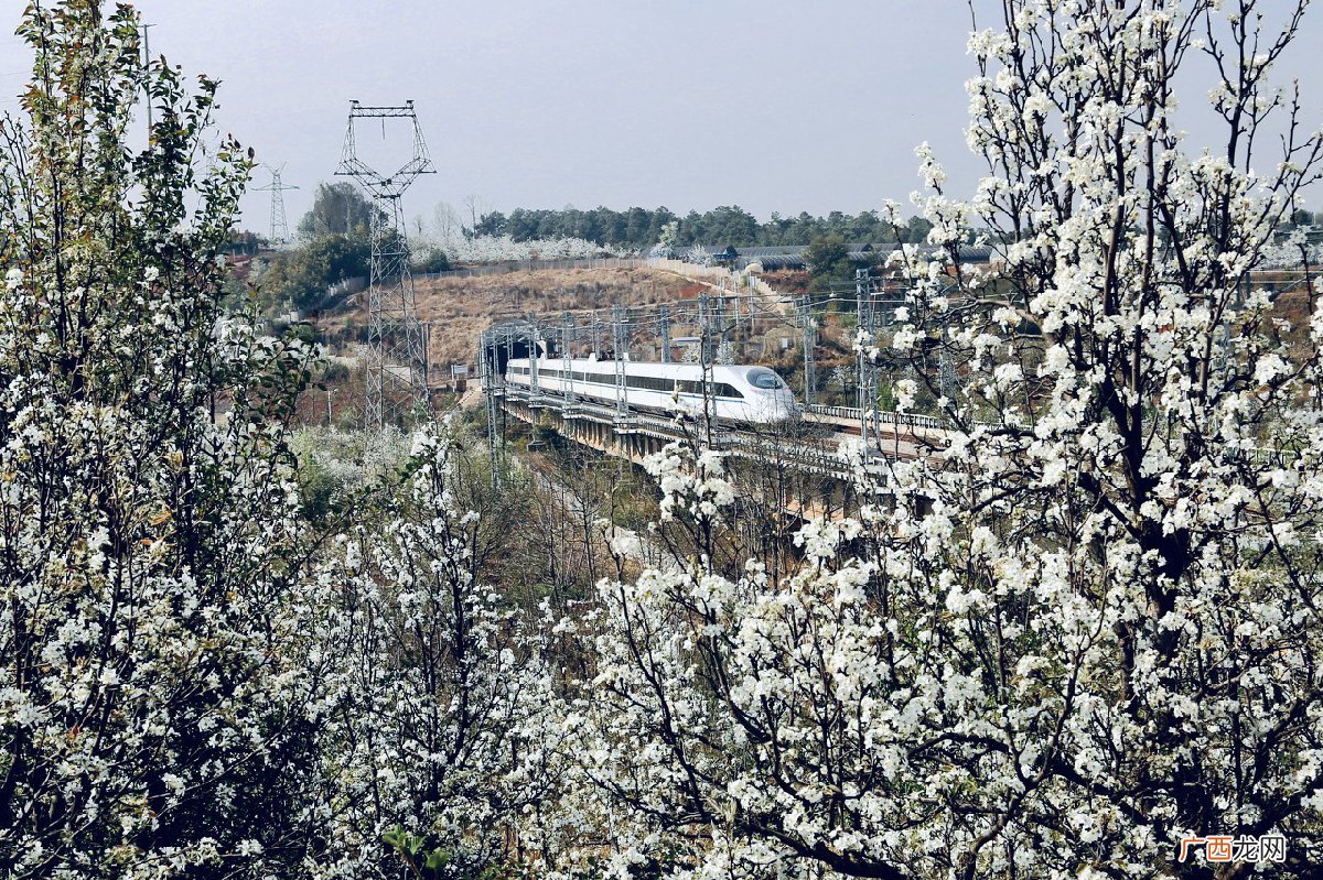 地点+花期 2022重庆石柱赏花的地方