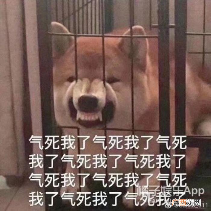 钢铁直女和挑剔傲娇男 渣男碰到钢铁直女