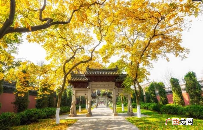 带你领略古诗中的四季之美 优美的古诗