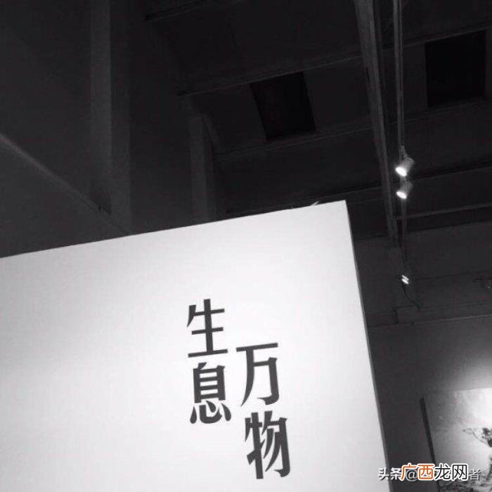 一个人如果心里没有你 对方心里没有你的句子