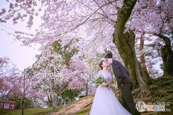 教堂式婚礼，我用所有报答爱-性价比极高的冲绳教堂婚礼