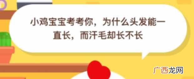 为什么头发能一直长而汗毛却长不长 蚂蚁庄园9月11日答案今日答案
